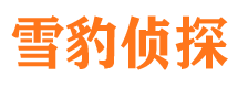 杜集侦探